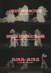 Bild:  (Un)Stopped Motion