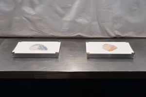 Picture: Archivfoto_04