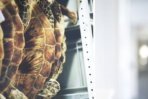 Picture: The Violent Container