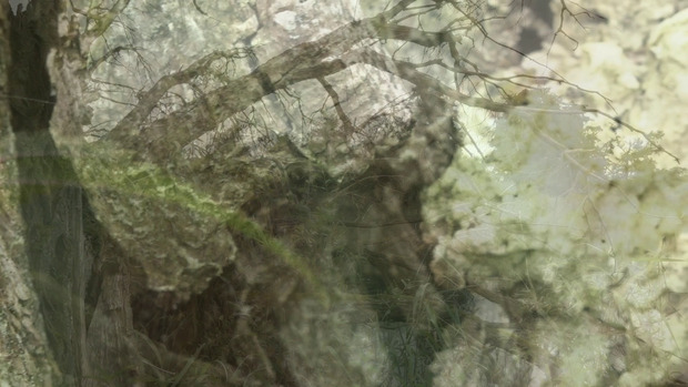 Bild:  video stills