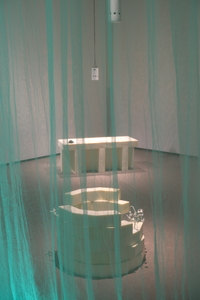 Bild:  Imaginary Gardens with Real Toads in Them