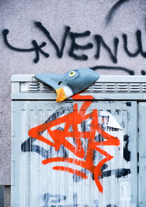 Bild:  No Feeding_04