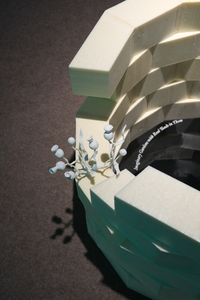 Bild:  Imaginary Gardens with Real Toads in Them