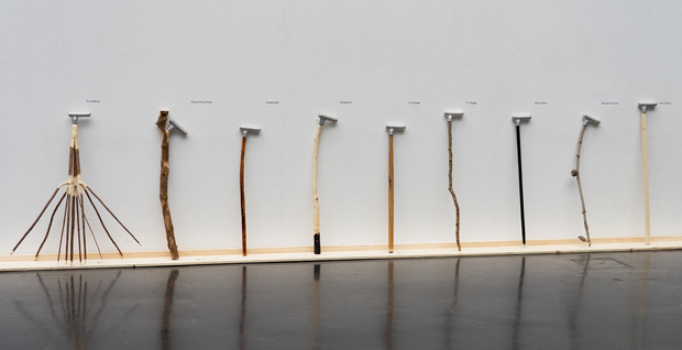Picture: Diplom Ausstellung neun Freunde mit ihrem Forest Souvenir