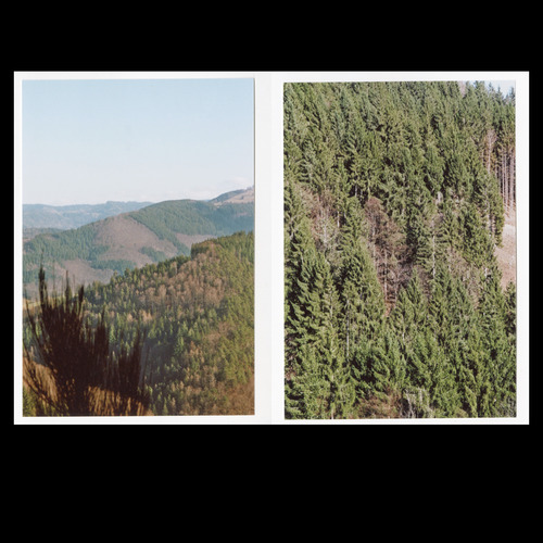 Bild:  approx. 3km, as. the crow flies, from the Schauinsland Peak.