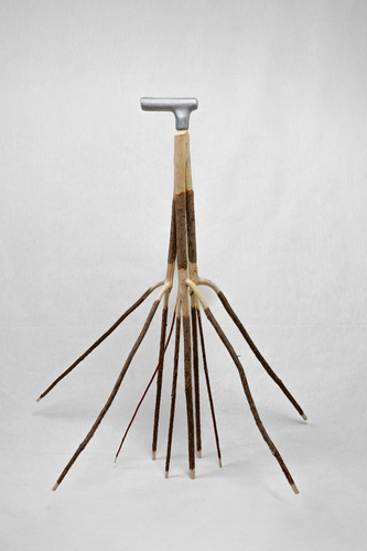 Picture: Forest Cane Finn De Bruyn